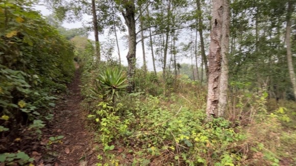 Land For Sale El Hato, Antigua Guatemala - Photo 10
