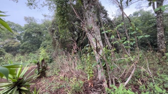 Land For Sale El Hato, Antigua Guatemala - Photo 11