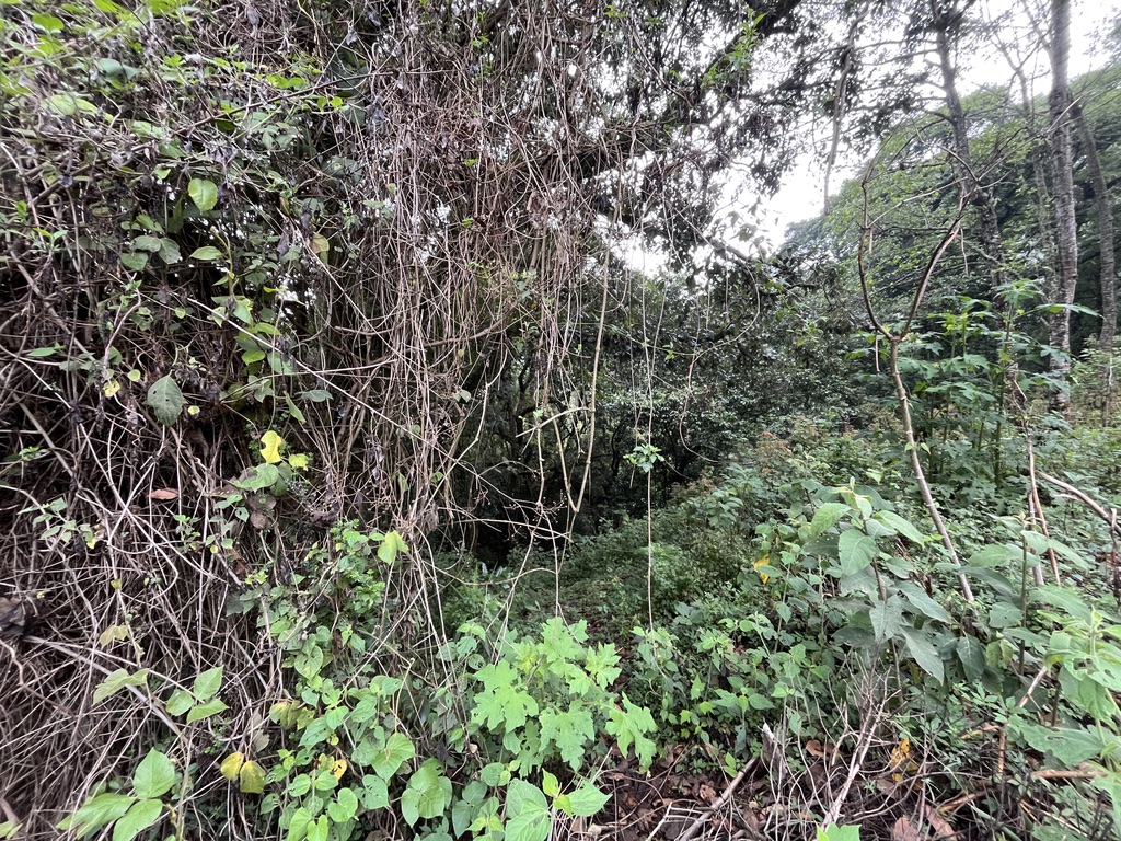 Land For Sale El Hato, Antigua Guatemala - Photo 12