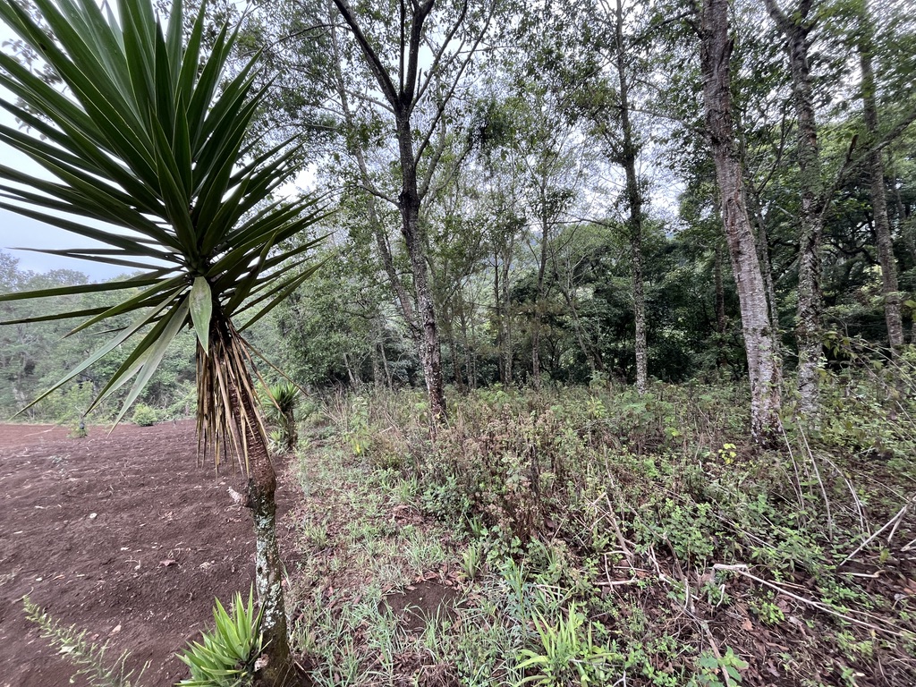 Land For Sale El Hato, Antigua Guatemala - Photo 13