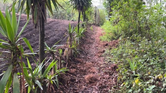 Land For Sale El Hato, Antigua Guatemala - Photo 15