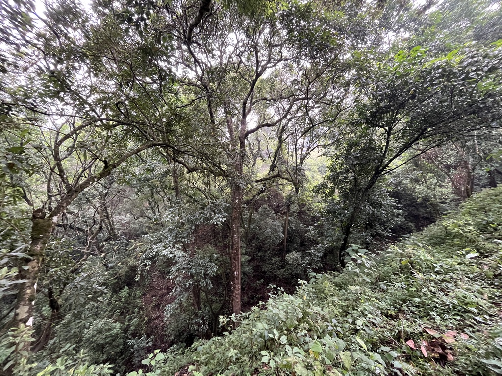 Land For Sale El Hato, Antigua Guatemala - Photo 18