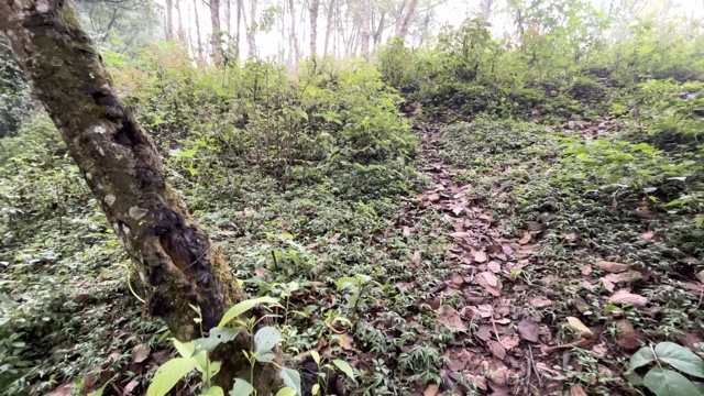 Land For Sale El Hato, Antigua Guatemala - Photo 19