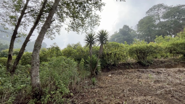 Land For Sale El Hato, Antigua Guatemala - Photo 20