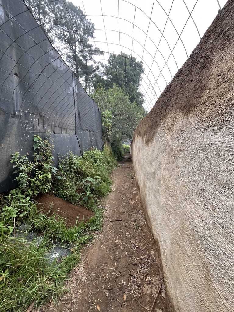 Land For Sale El Hato, Antigua Guatemala - Photo 21