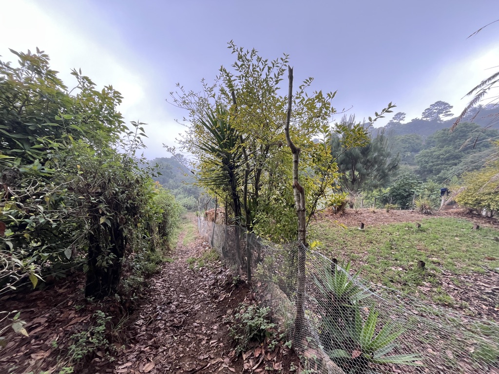 Land For Sale El Hato, Antigua Guatemala - Photo 22