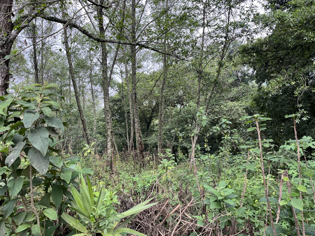 Land For Sale El Hato, Antigua Guatemala - Photo 25