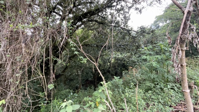 Land For Sale El Hato, Antigua Guatemala - Photo 26