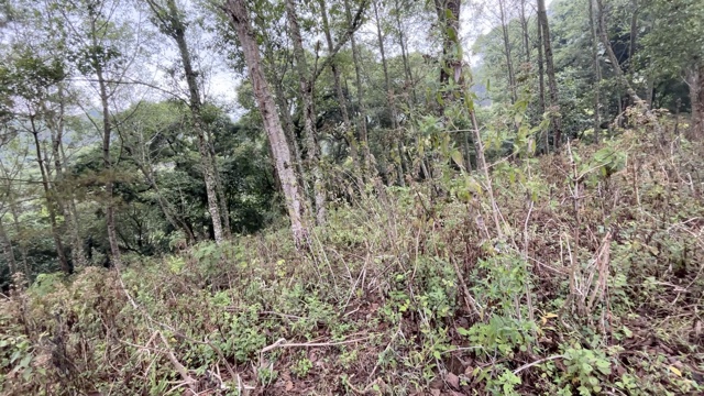 Land For Sale El Hato, Antigua Guatemala - Photo 27