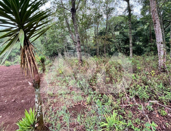 Land for sale in El Hato Antigua Guatemala with Volcán de Agua view, perfect for self-sustainable living
