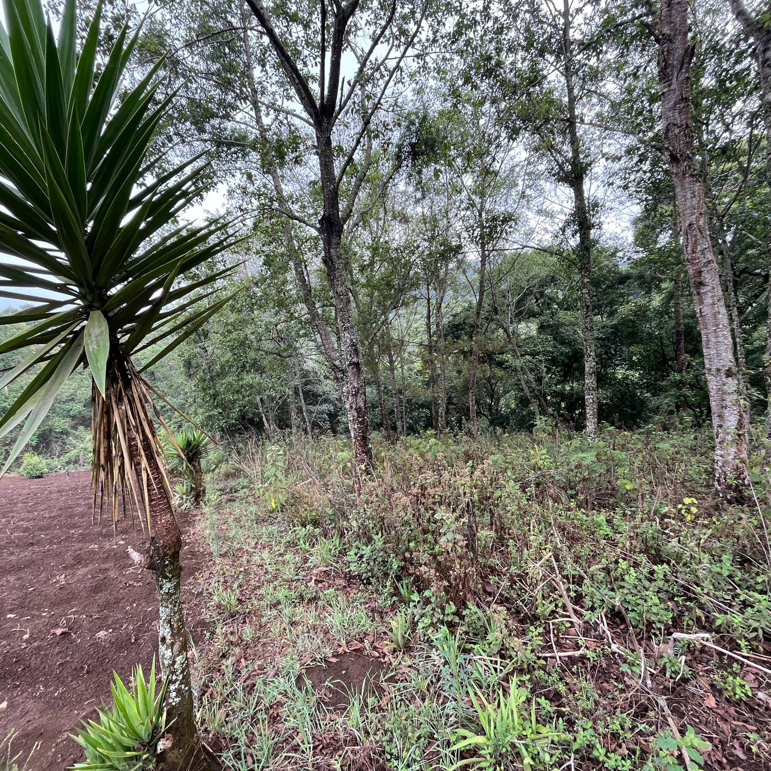 Land For Sale El Hato, Antigua Guatemala - Photo 2