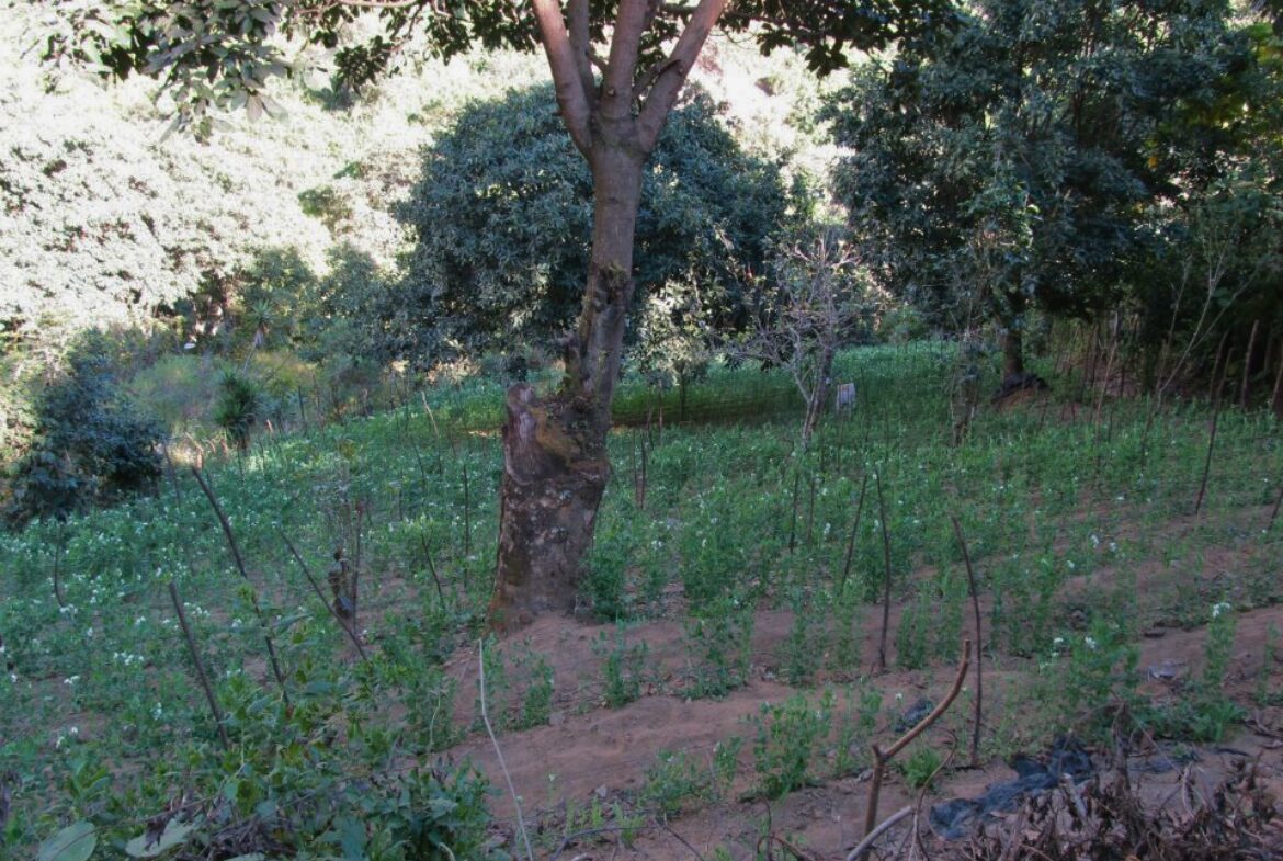 Land For Sale San Mateo Milpas Altas - Photo 16