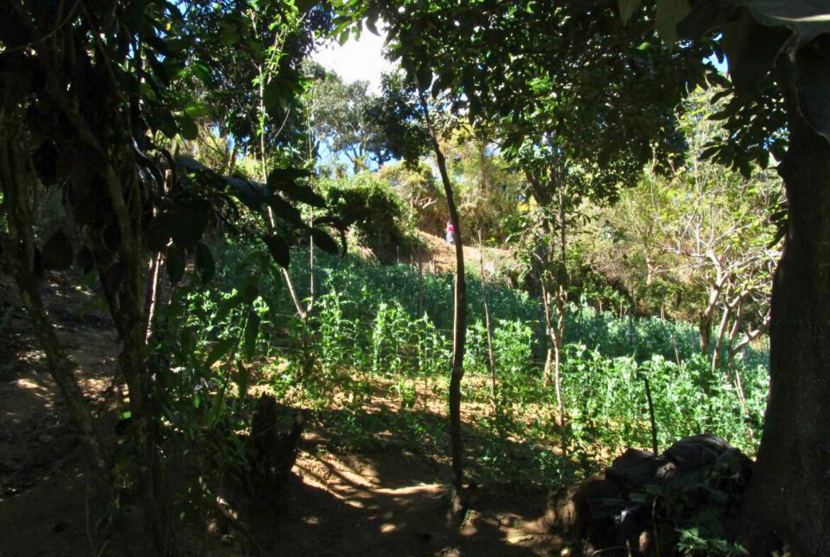 Land For Sale San Mateo Milpas Altas - Photo 17