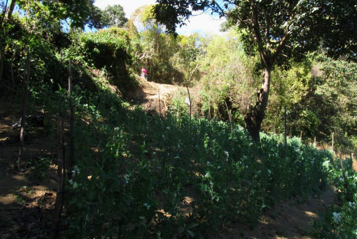 Land For Sale San Mateo Milpas Altas - Photo 18