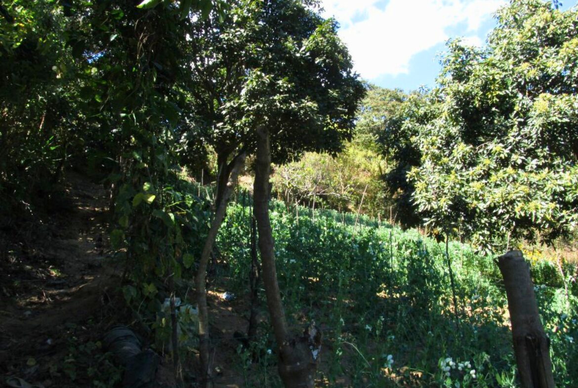 Land For Sale San Mateo Milpas Altas - Photo 19