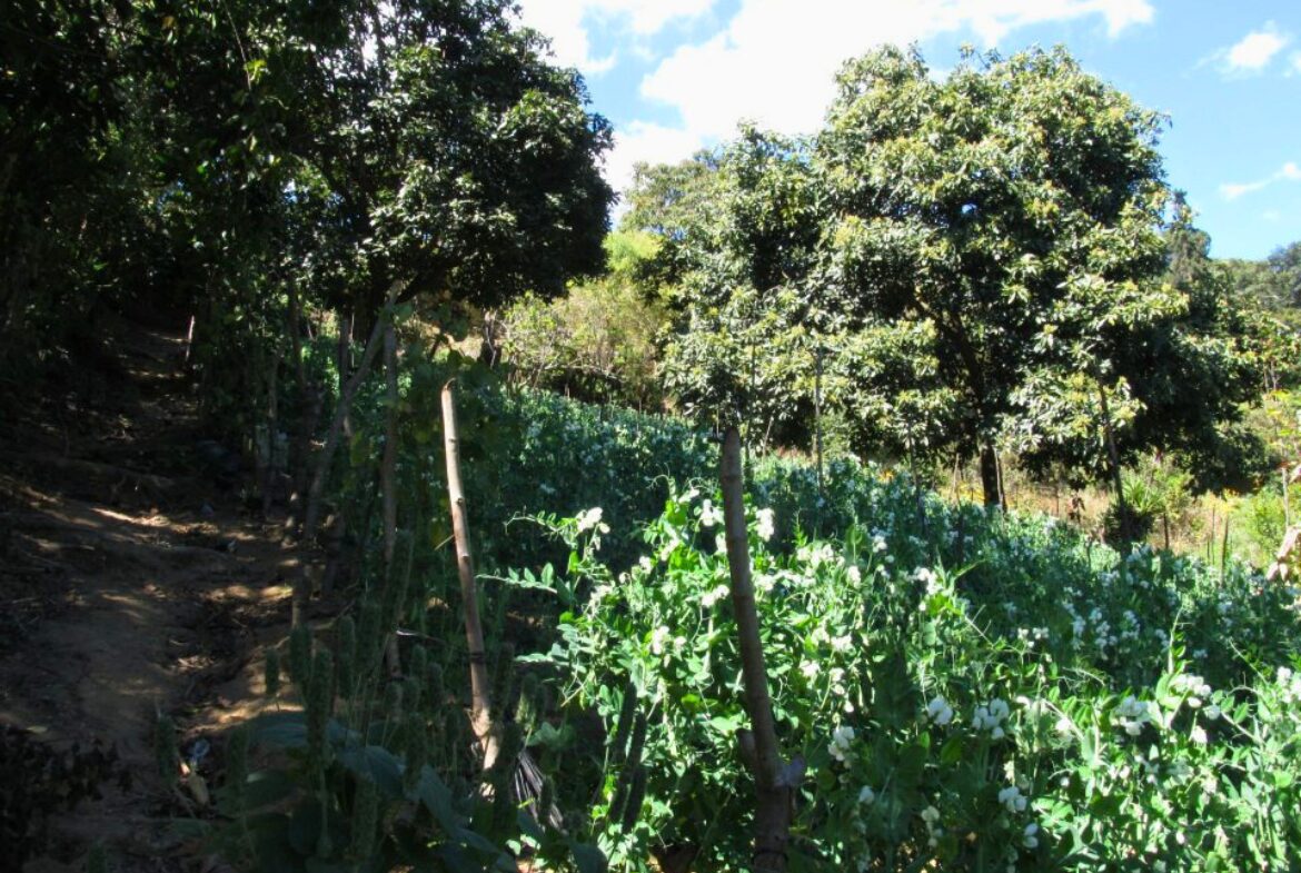 Land For Sale San Mateo Milpas Altas - Photo 21