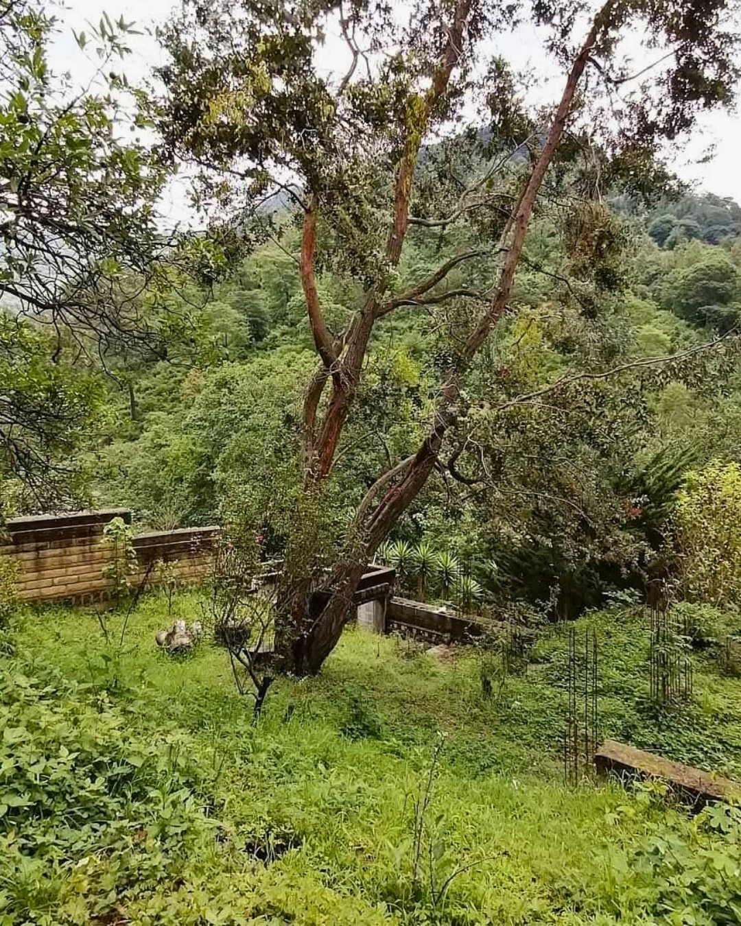 Land For Sale San Mateo Milpas Altas - Photo 6