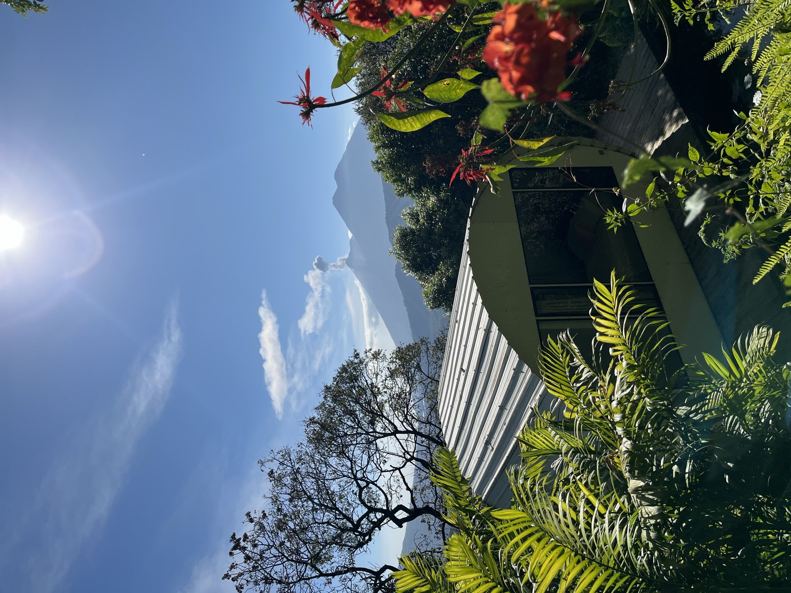 Tiny eco-house nestled among trees with volcano views, koi pond, and private elevated deck at Finca El Tambor, El Hato, Antigua Guatemala