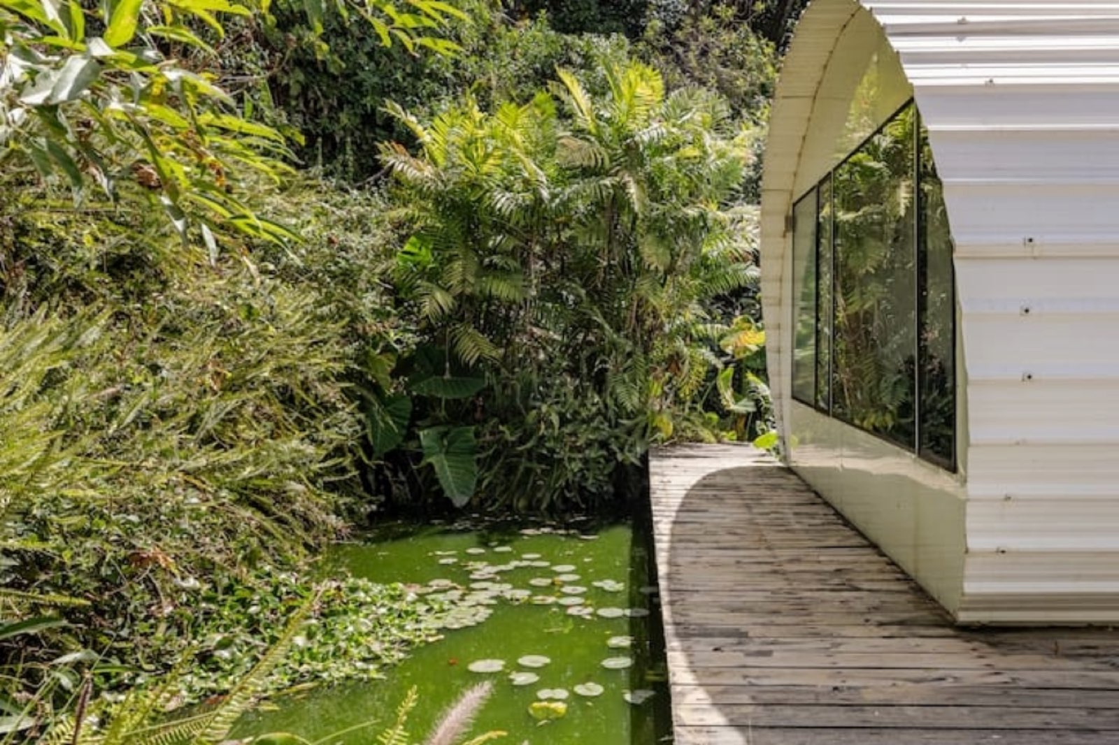 Casa Coi — Tiny Eco-House Among the Trees at Finca El Tambor, El Hato - Photo 14