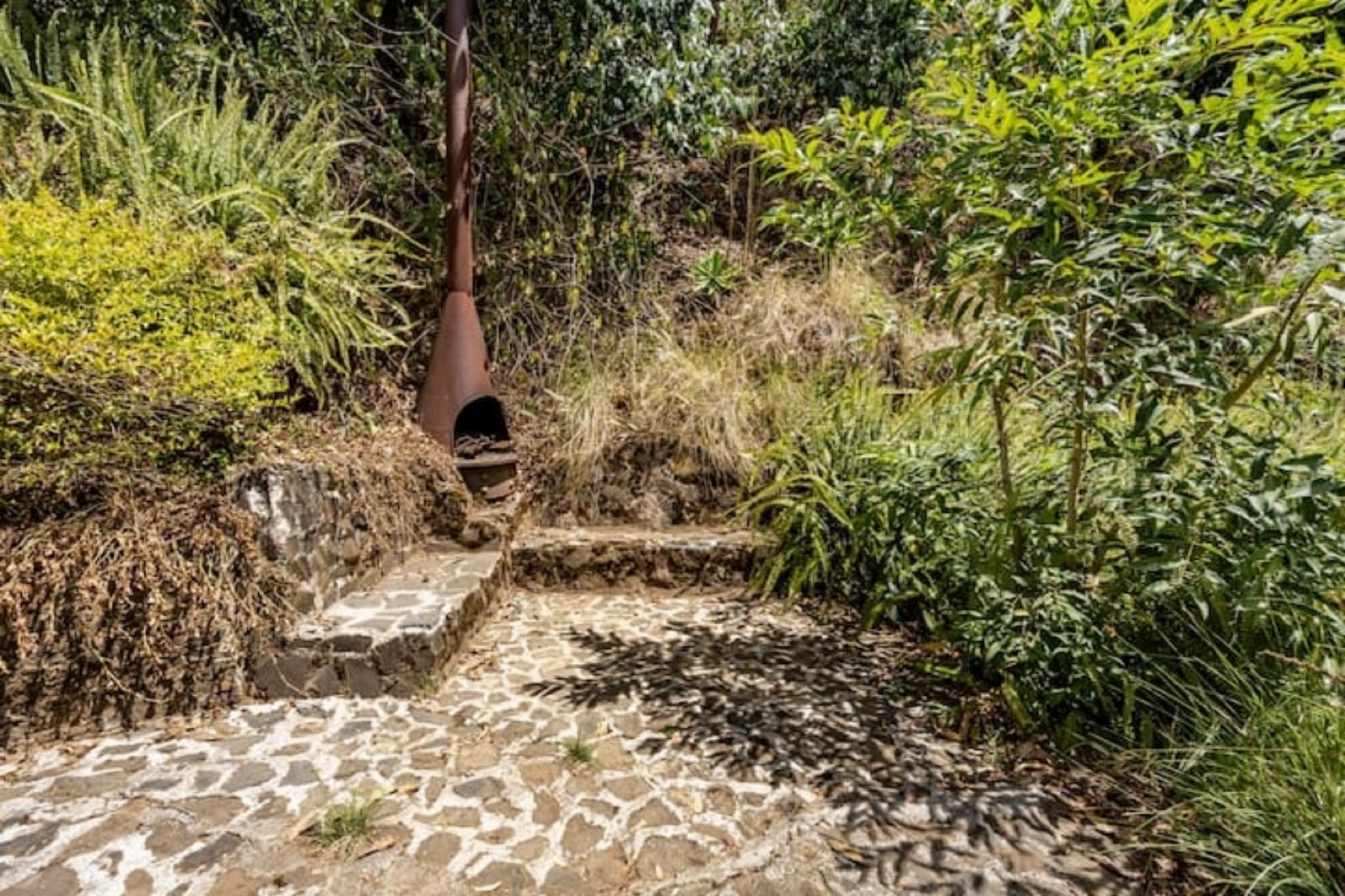 Casa Coi — Tiny Eco-House Among the Trees at Finca El Tambor, El Hato - Photo 19